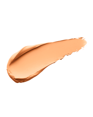 PRO FILT'R INSTANT RETOUCH CONCEALER, #220