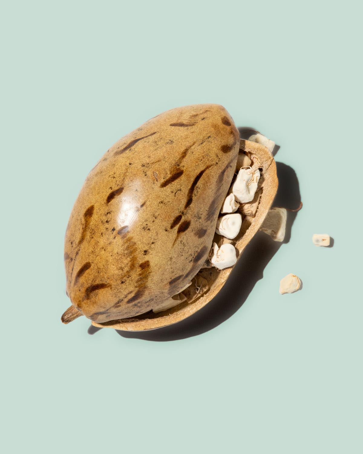 Baobab Seed Extract