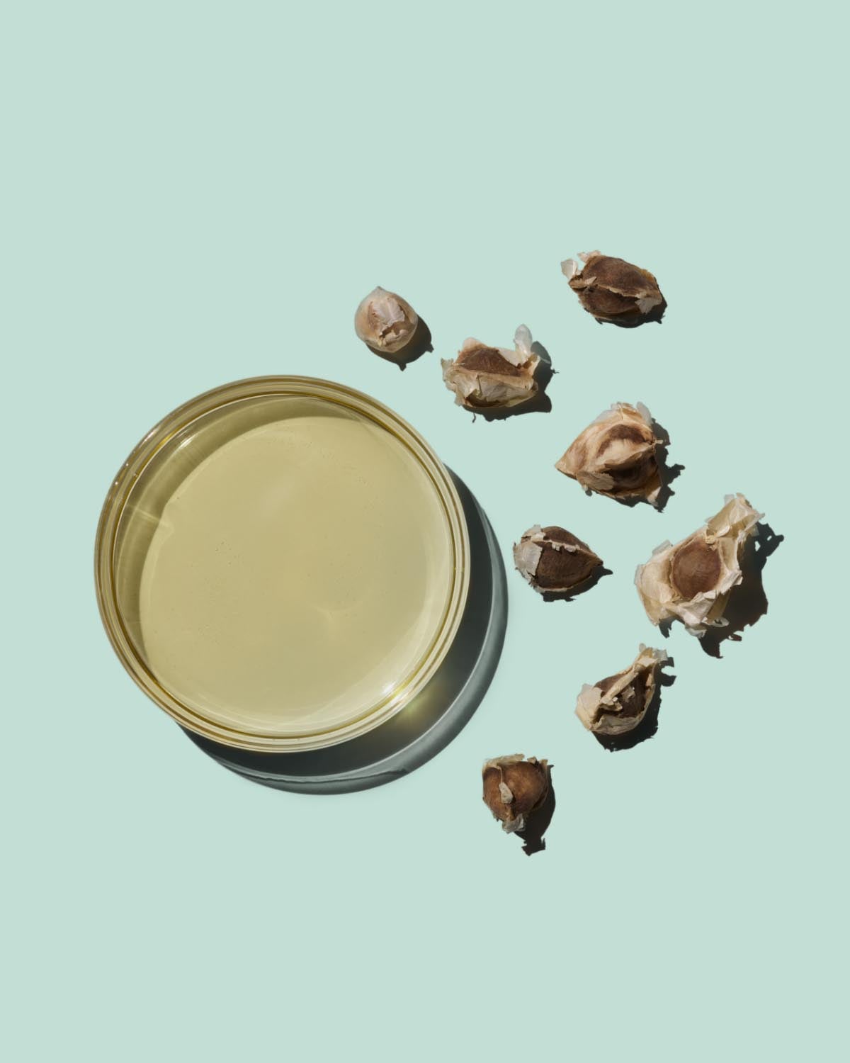 Moringa Oil