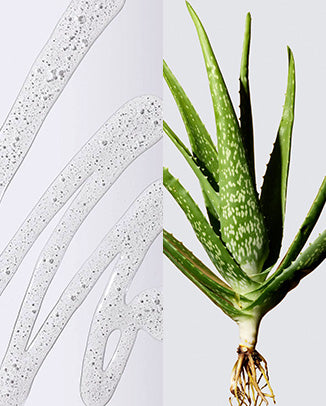 ✔ Hyaluronic Acid & Aloe