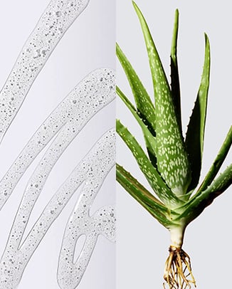 Hyaluronic Acid & Aloe