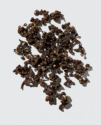 Japanese Raisin Tree