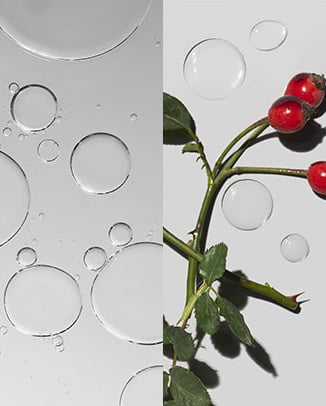 Jojoba Seed & Rosehip Fruit Oils