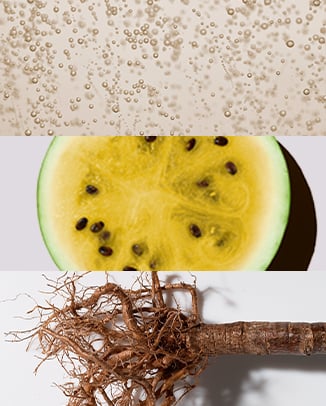 ✔ Hyaluronic Acid, Kalahari Melon + Baobab Oil